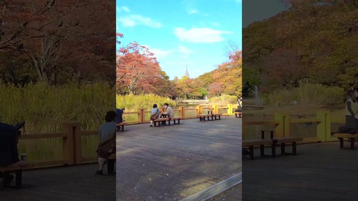 Walking in Yoyogi Park Tokyo #japan