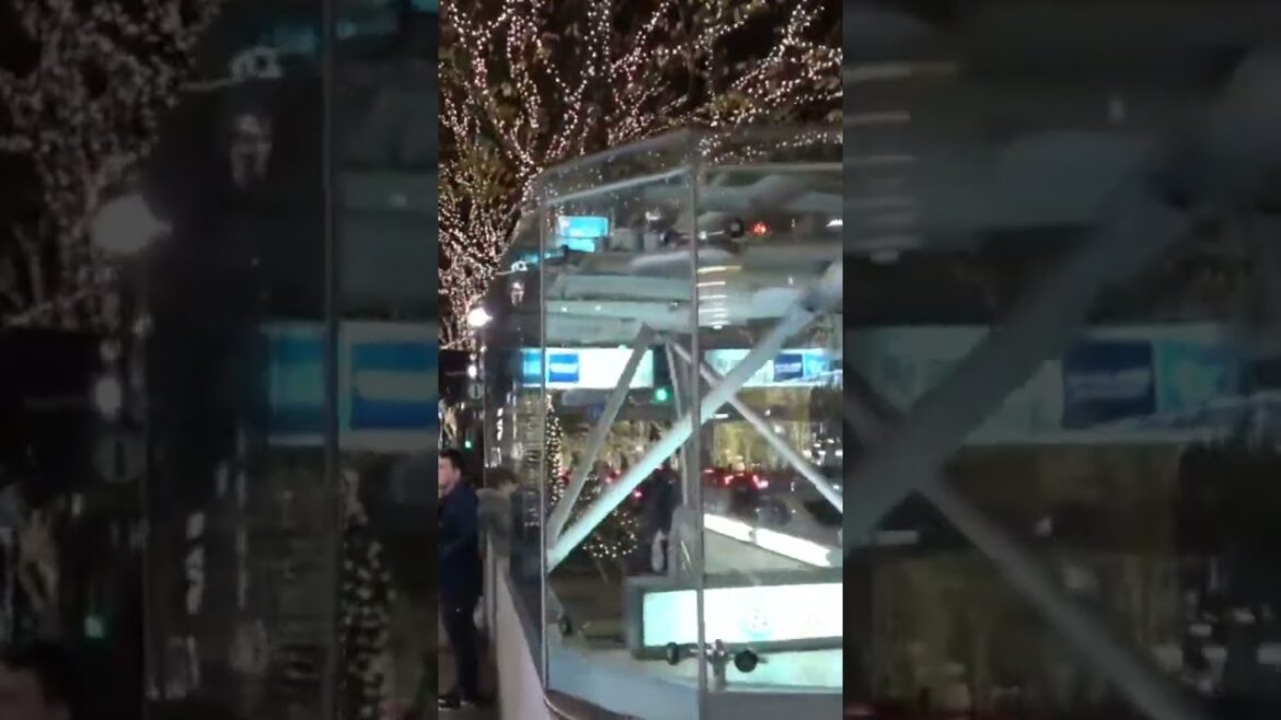 WINTER ILLUMINATIONS in TOKYO #tokyo #japan #japanese #illumination #winter WINTER ILLUMINATIONS in TOKYO #tokyo #japan #japanese #illumination #winter