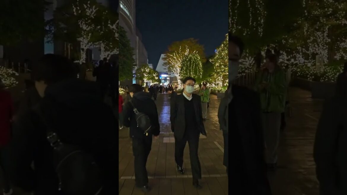 #Tokyo Autumn Night Walk | #shinjuku  #christmas  #japan #tipsandguide #tokyo 1129   4of100