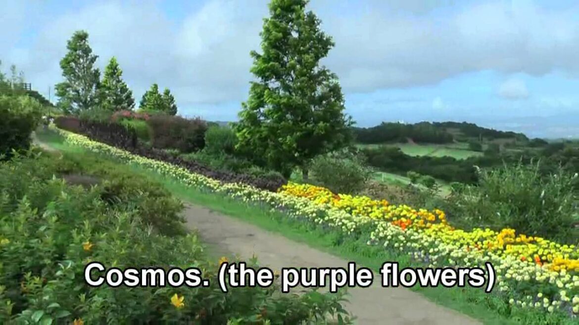 Places to visit in Japan - Awajishima 淡路島