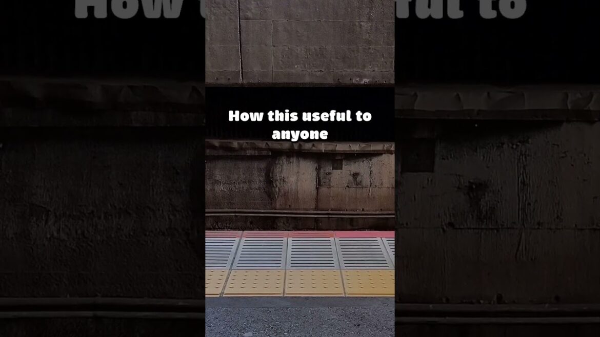 How can anyone understand this? - Vtuber IRL adventures #vtuber #Japan #Tokyo #travel