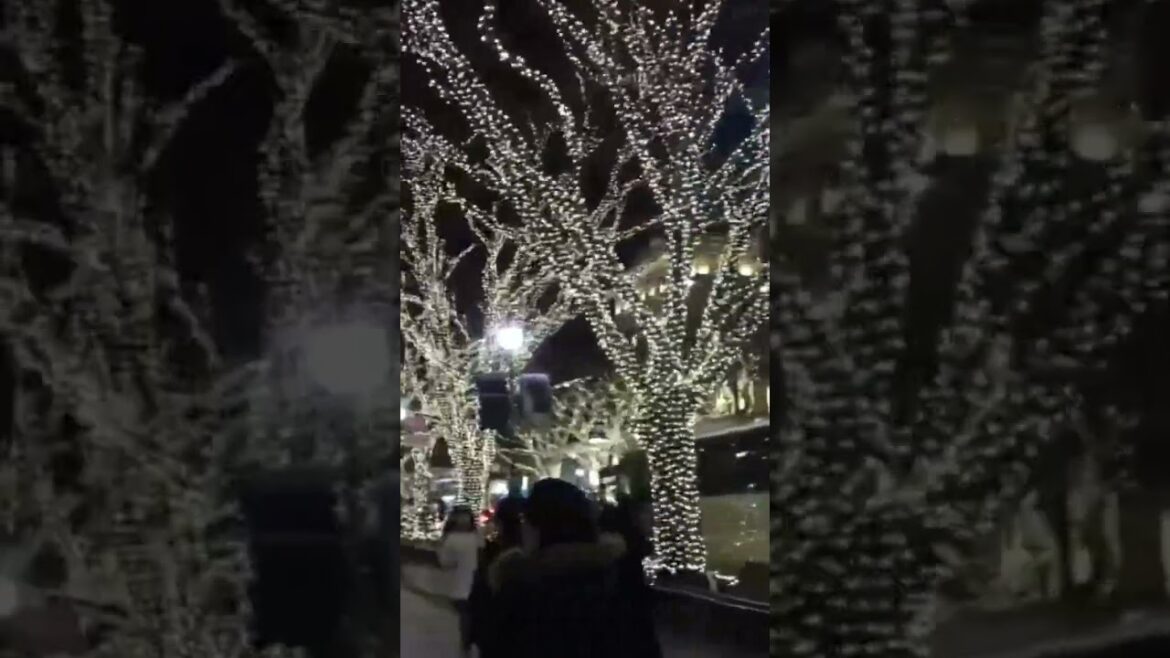 WINTER ILLUMINATIONS in TOKYO #tokyo #japan #japanese #illumination #winter