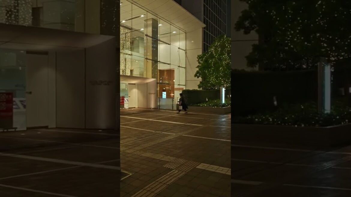 #Tokyo Autumn Night Walk | #shinjuku  #christmas  #japan #tipsandguide #tokyo 1129   3of100