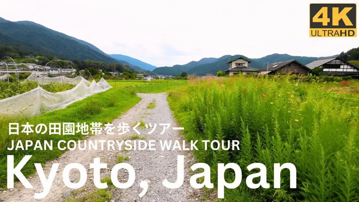 【4K HDR】🌿🌾 Immersive walking tour in the Japanese countryside of Kyoto | Japan Travel Vlog 【4K HDR】🌿🌾 Immersive walking tour in the Japanese countryside of Kyoto | Japan Travel Vlog