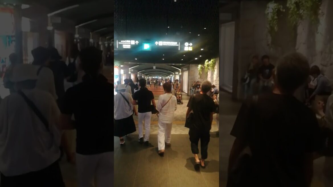 Menschenmassen in U-Bahn-Gängen in Fukuoka (Japan 2023) Menschenmassen in U-Bahn-Gängen in Fukuoka (Japan 2023)