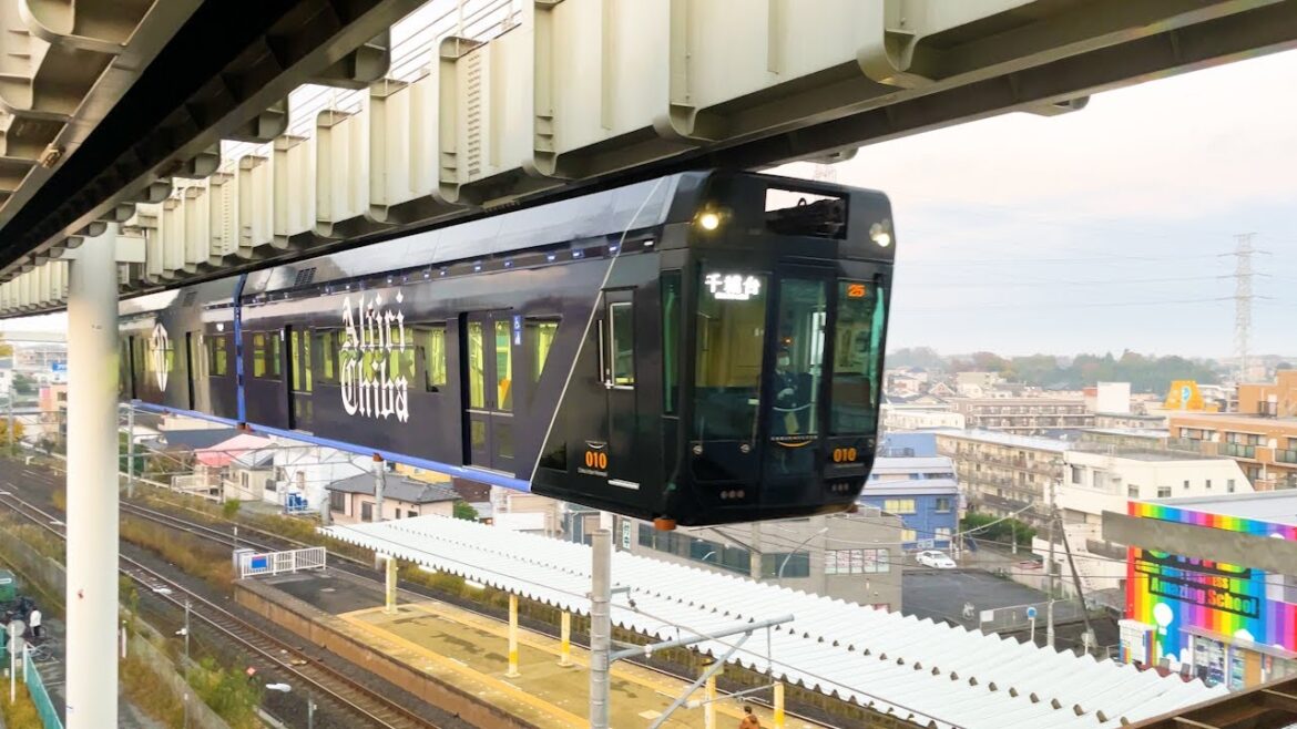 Japan’s Flying Train Passing Overhead Japan's Flying Train Passing Overhead