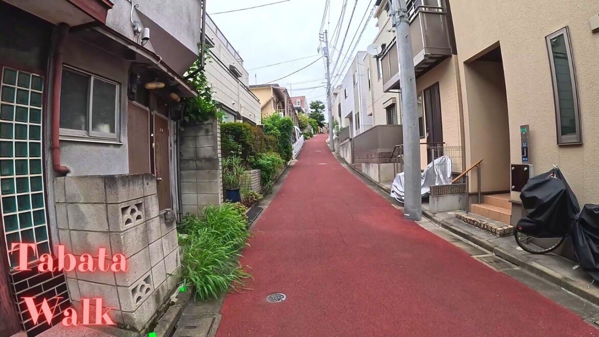 Tabata Tokyo in Japan walking tour【4K】11.2023