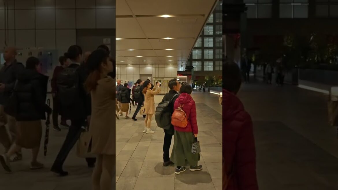 #Tokyo Autumn Night Walk | #shinjuku  #christmas  #japan #tipsandguide #tokyo