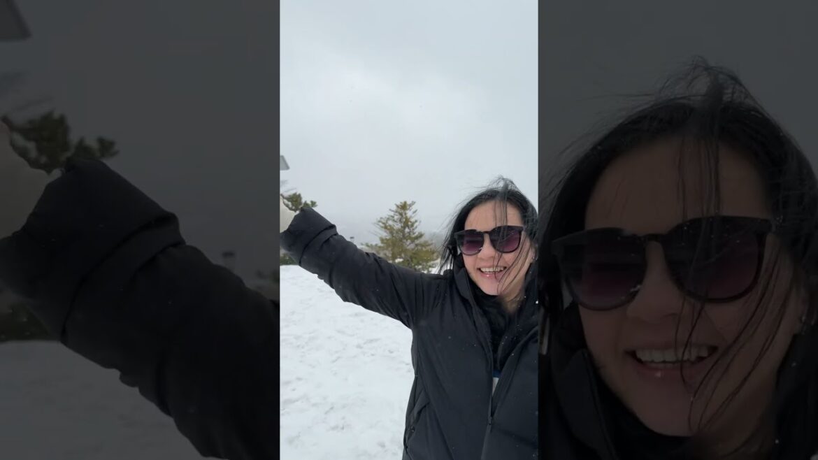 Snow & Cherry Blossom ( Sapporo & Tokyo )