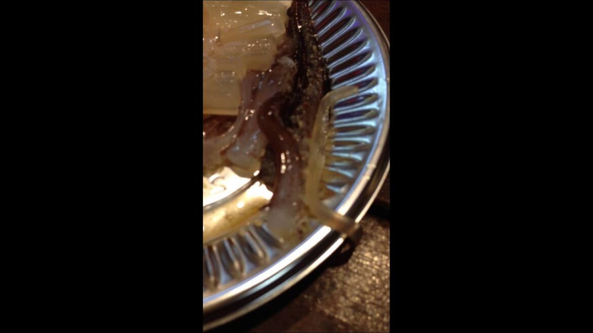 Fancy having Squid Sashimi?