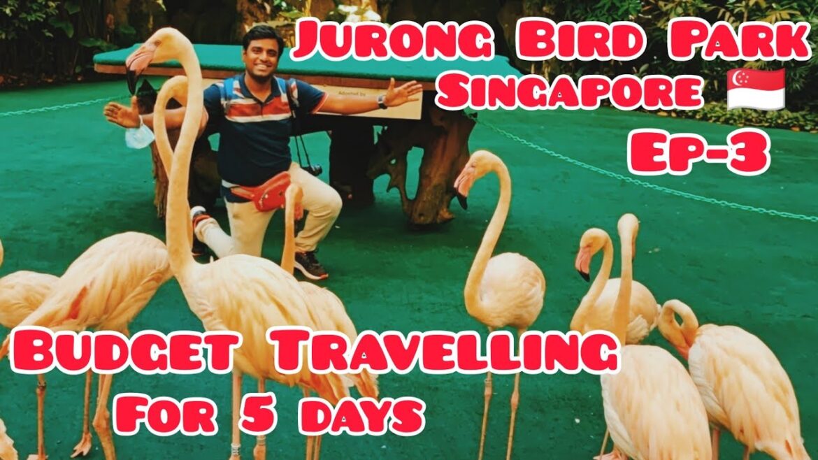 Jurong Bird Park - Singapore Travel guide || Ep-3 || Bikram's Travel Diary