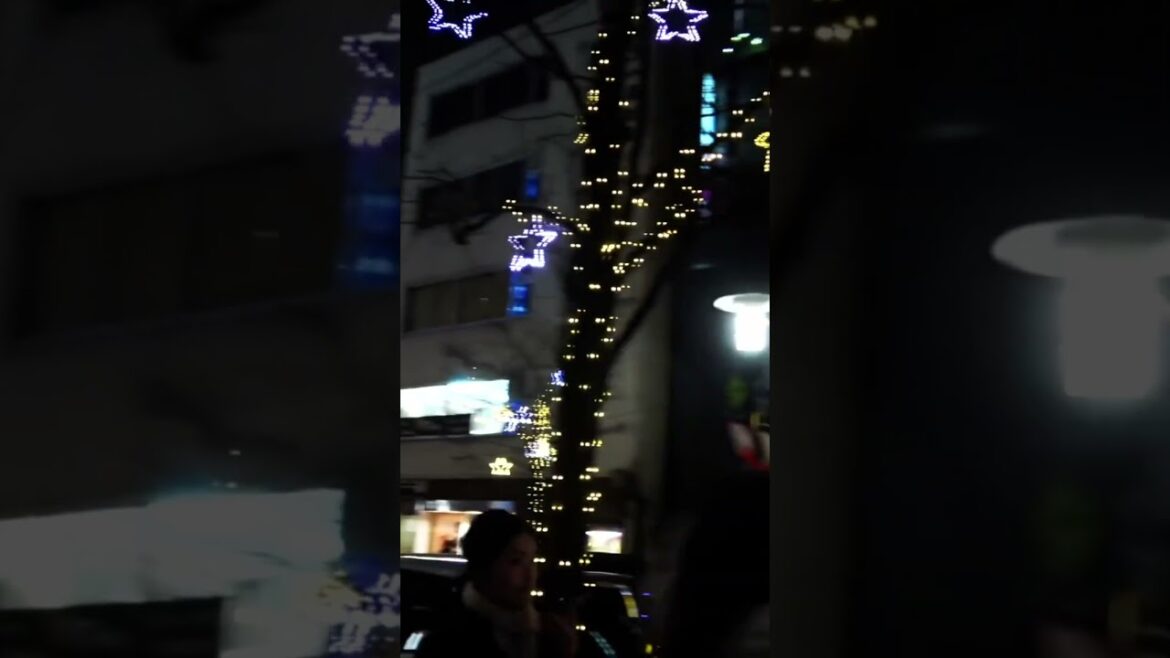 WINTER ILLUMINATIONS in TOKYO #tokyo #japan #japanese #illumination #winter