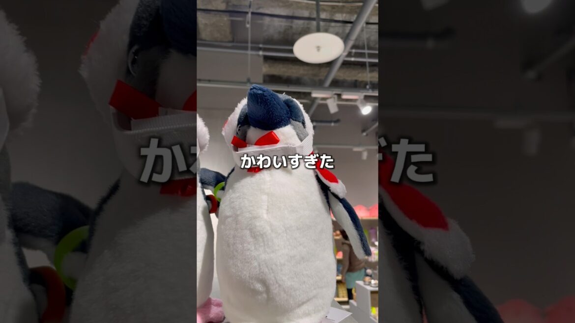 まちなか水族館「AOAO SAPPORO」ペンギンが可愛すぎた #vlog #shorts