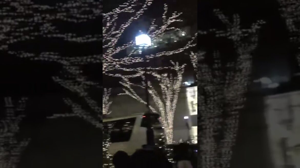 WINTER ILLUMINATIONS in TOKYO #tokyo #japan #japanese #illumination #winter