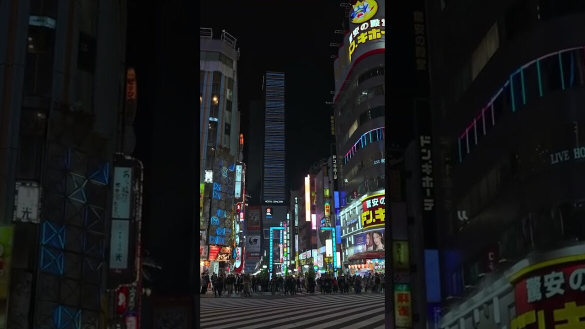 #Tokyo Autumn Night Walk | #shinjuku  #christmas  #japan #tipsandguide #tokyo 1129   41of100