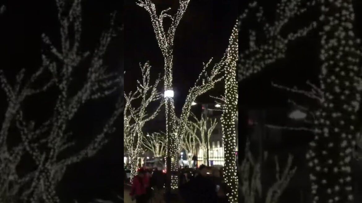 WINTER ILLUMINATIONS in TOKYO #tokyo #japan #japanese #illumination #winter WINTER ILLUMINATIONS in TOKYO #tokyo #japan #japanese #illumination #winter