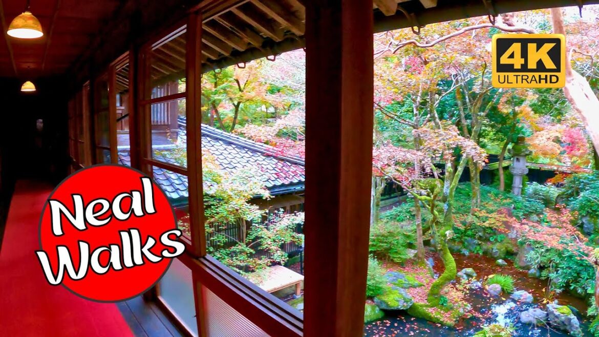 Autumn Walk at the Historic Nakano Estate [4K 60FPS]