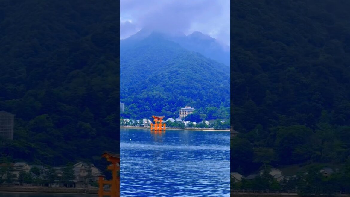 Grand Tori Gate at Miyajima, Hiroshima📍 (19 August 2023) #厳島 #⛩️ #🇯🇵