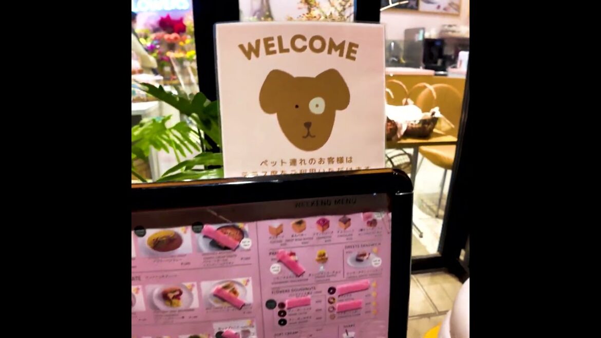 Tokyo Tachikawa 👍 Welcome? Shop♪💖Break Time🍹#shorts #japan #walk Tokyo Tachikawa 👍 Welcome? Shop♪💖Break Time🍹#shorts #japan #walk