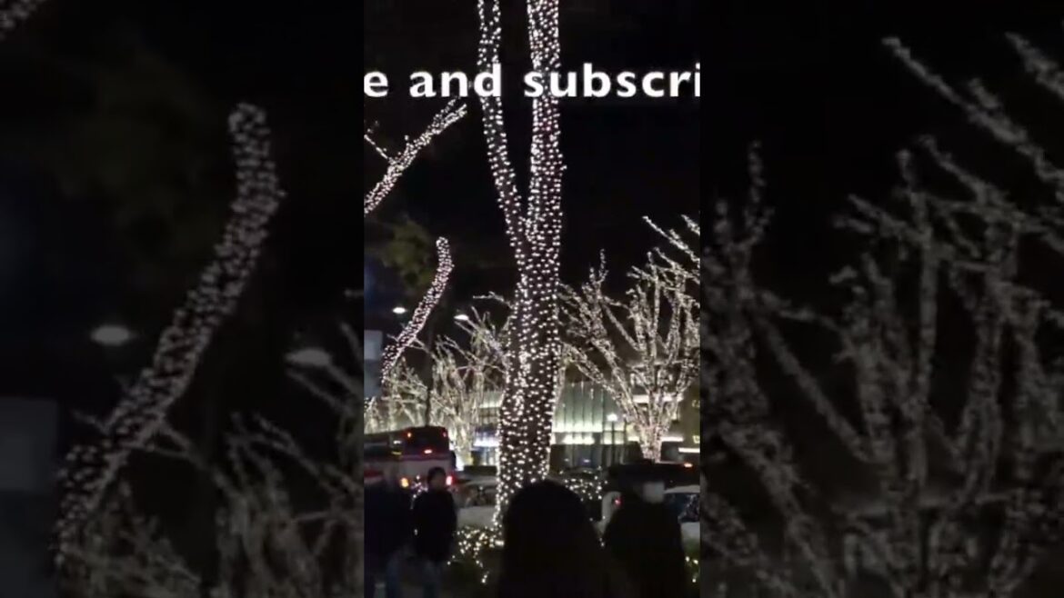 WINTER ILLUMINATIONS in TOKYO #tokyo #japan #japanese #illumination #winter