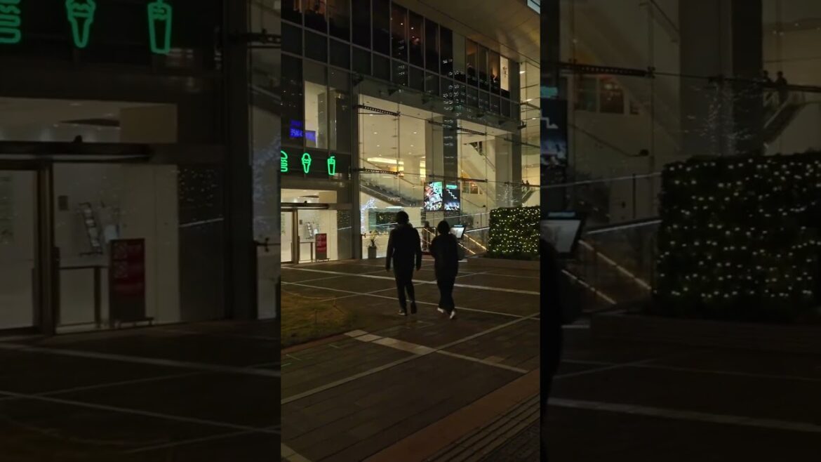 #Tokyo Autumn Night Walk | #shinjuku  #christmas  #japan #tipsandguide #tokyo 1129   2of100