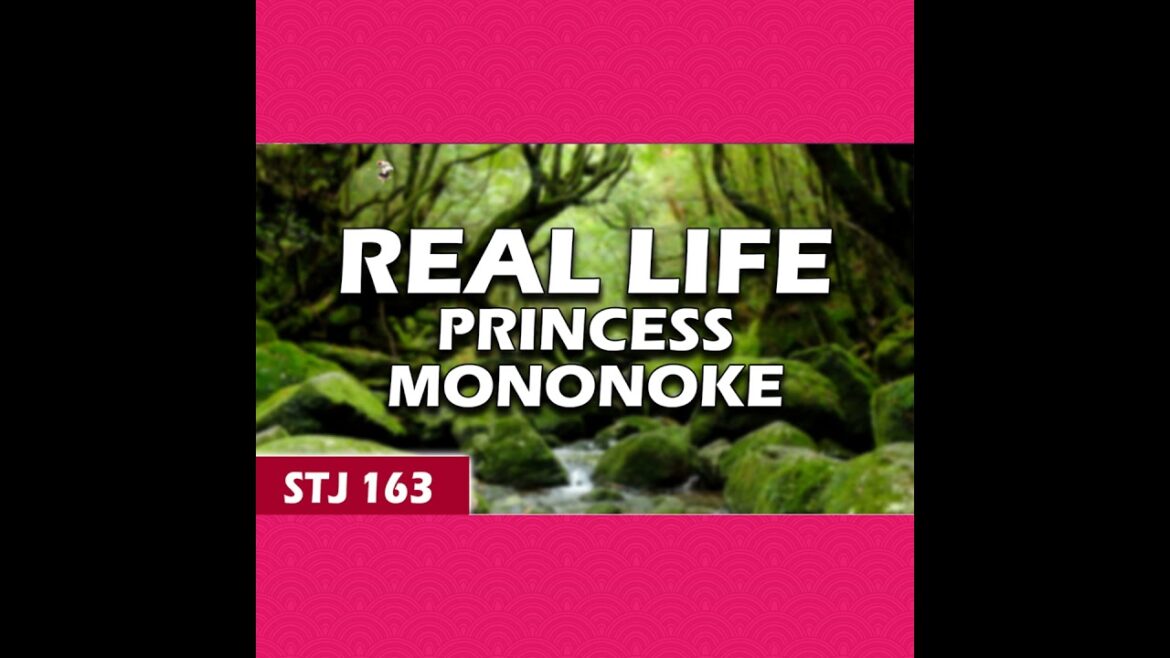 Yakushima’s Need To Know Tips | STJ 163 Yakushima's Need To Know Tips | STJ 163