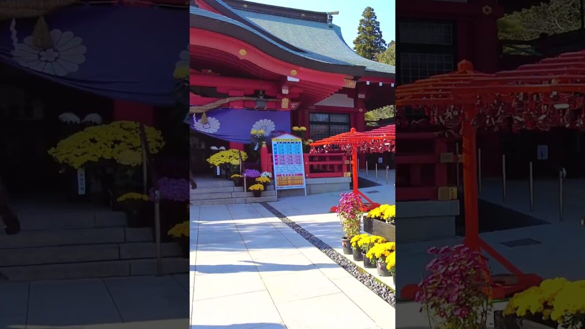 Walking Around Sendai Japan #japan #japanesetravel #japantravelguide Walking Around Sendai Japan #japan #japanesetravel #japantravelguide