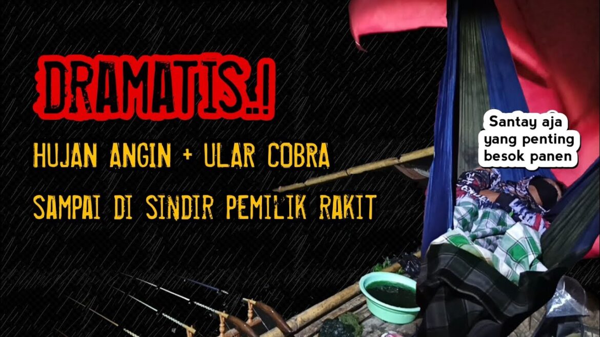 Mancing mania dramatis..! bisa jadi kalian akan mengalaminya, jadi berhati hatilah Mancing mania dramatis..! bisa jadi kalian akan mengalaminya, jadi berhati hatilah