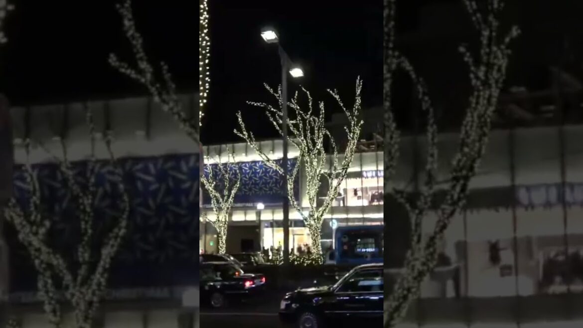 WINTER ILLUMINATIONS in TOKYO #tokyo #japan #japanese #illumination #winter