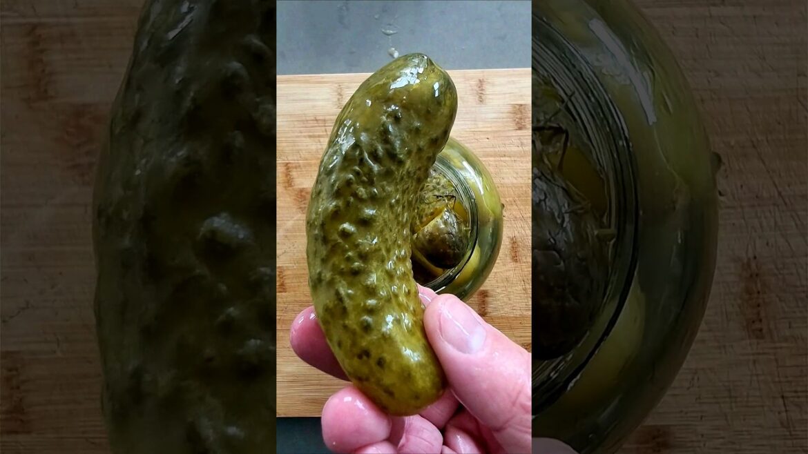 I think my pickle is sick