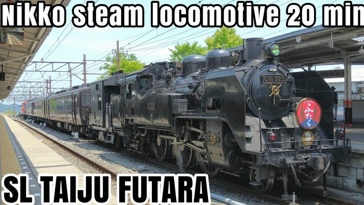 Japan's World Heritage Steam locomotive running in sunlight! SL Taiju Futara