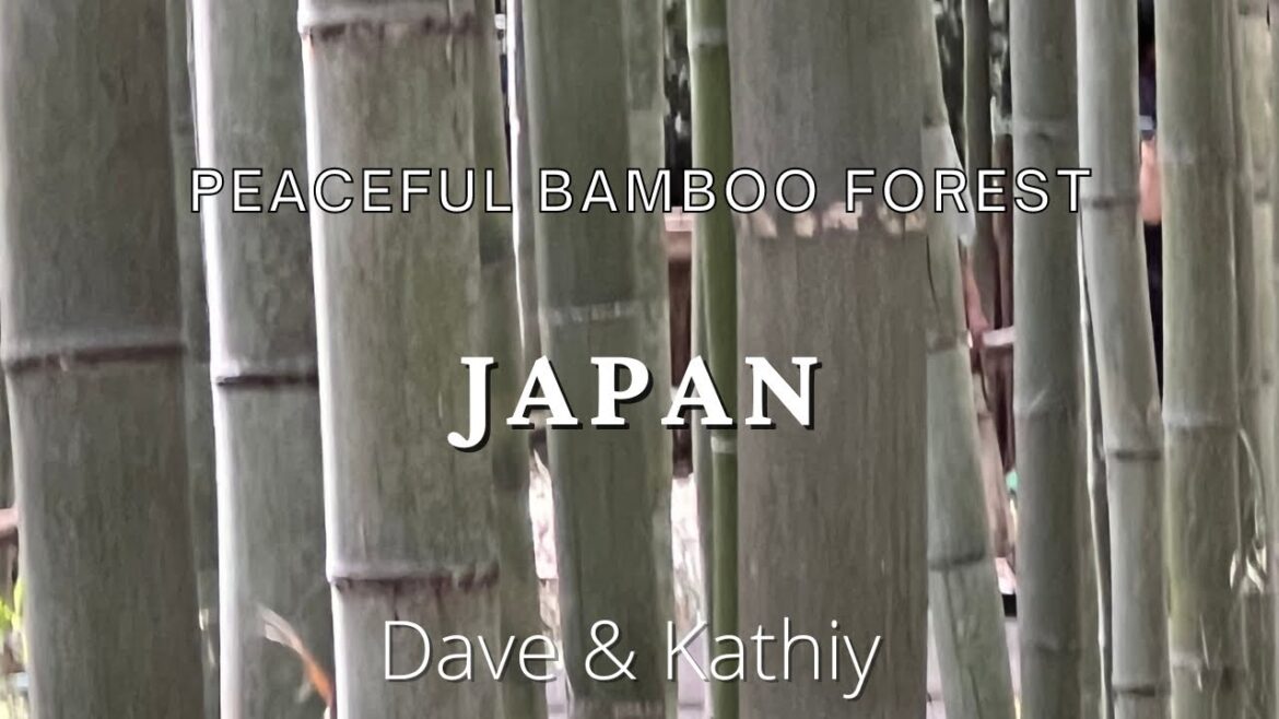 Free and Must do in Kyoto, Japan