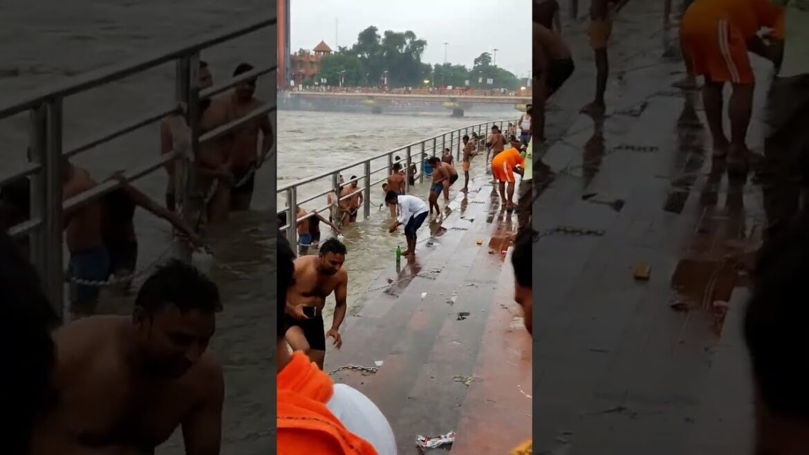 Haridwar har ki Pauri Swim ganga maiya 😀#short #viral #haridwar #mahadev