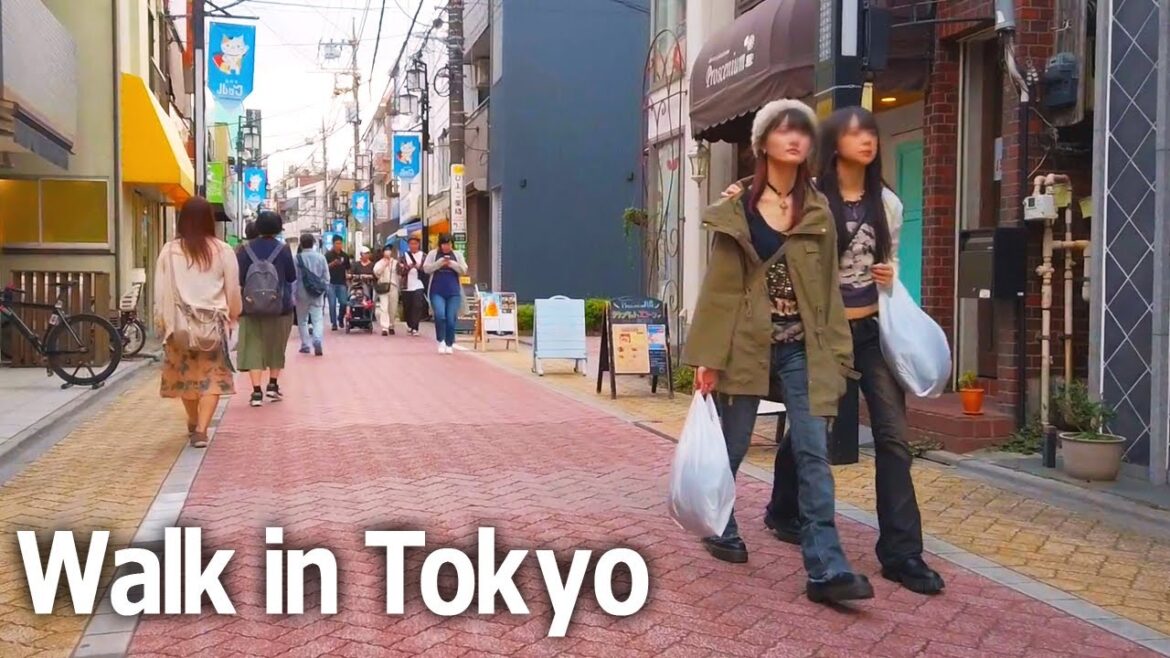 Tokyo walking tour – Koenji Station South Area. Scenery of shopping street♪ (Oct. 2023) Tokyo walking tour - Koenji Station South Area. Scenery of shopping street♪ (Oct. 2023)