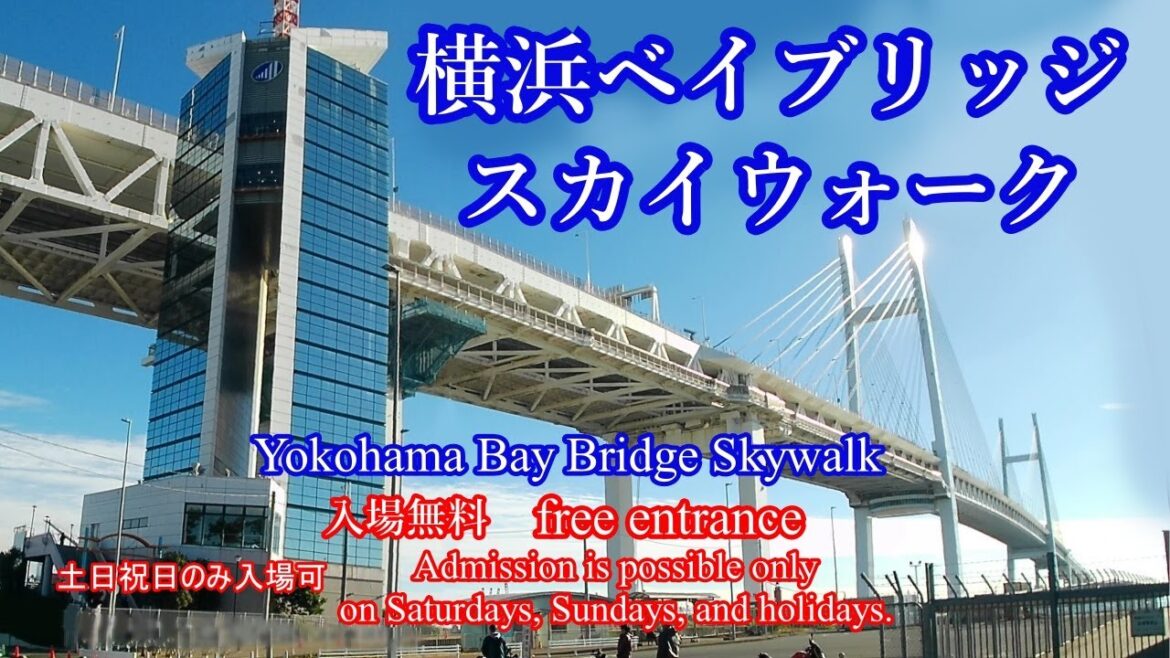 横浜スカイウォークに行ってみた。SURFOLA SF530 #横浜スカイウォーク #yokohama #横浜 #bgm #釣り