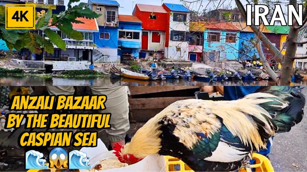 Explore Anzali Bazaar by Caspian Sea🌊 The Historical Colorful Houses🌈 – (Real Iran/Walking) 4k 60fps Explore Anzali Bazaar by Caspian Sea🌊 The Historical Colorful Houses🌈 - (Real Iran/Walking) 4k 60fps