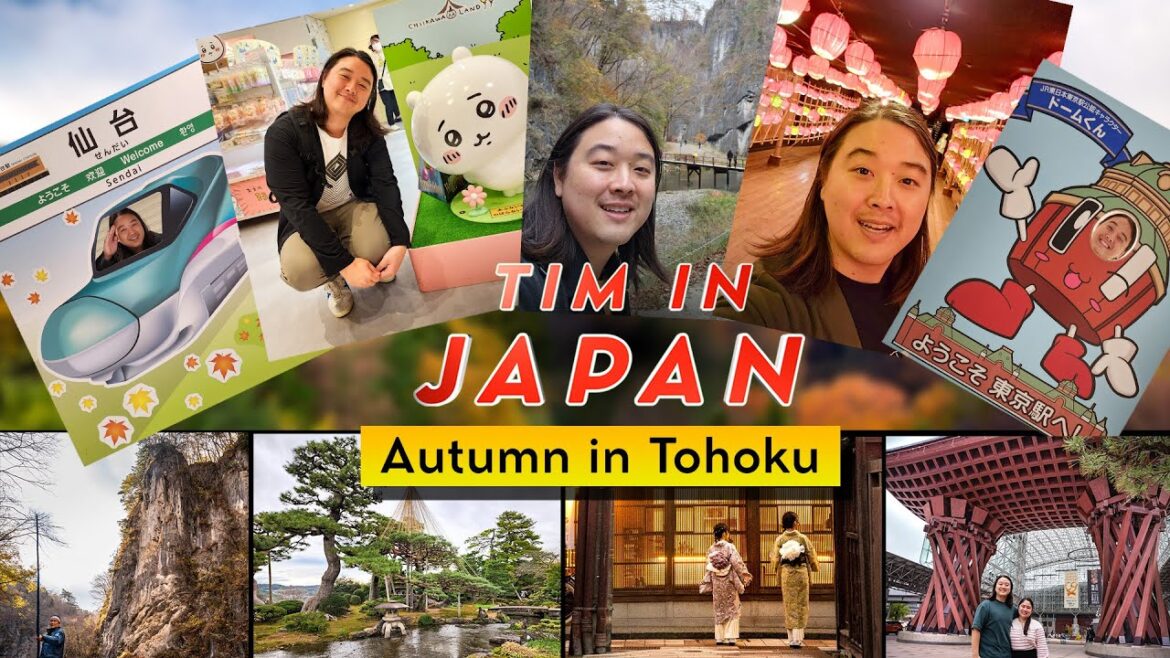 Chatting, Recap, Haul - Japan Tohoku Fall 2023 Trip! Come hang out and chat!