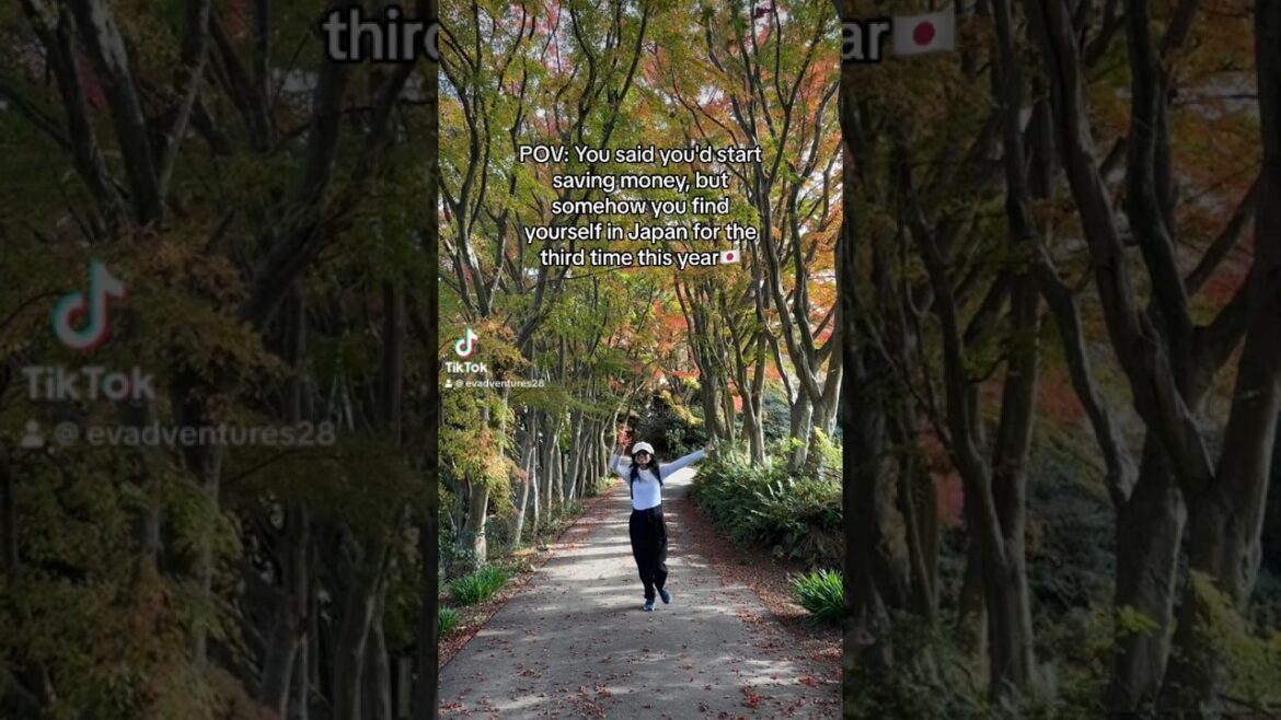 Always worth my money! #Japan #Travel