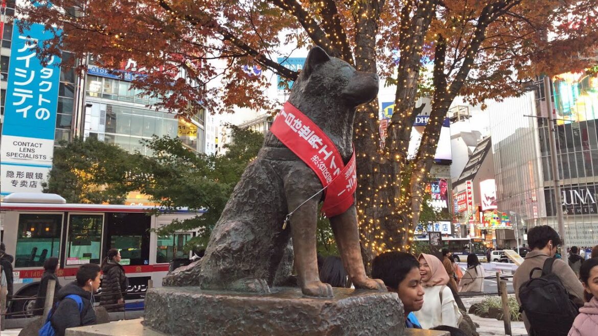 [Shibuya Crossing] Hachiko Statue (Tokyo Shibuya Crossing)Akita Dog [Japan Travel Guide][movie fine]