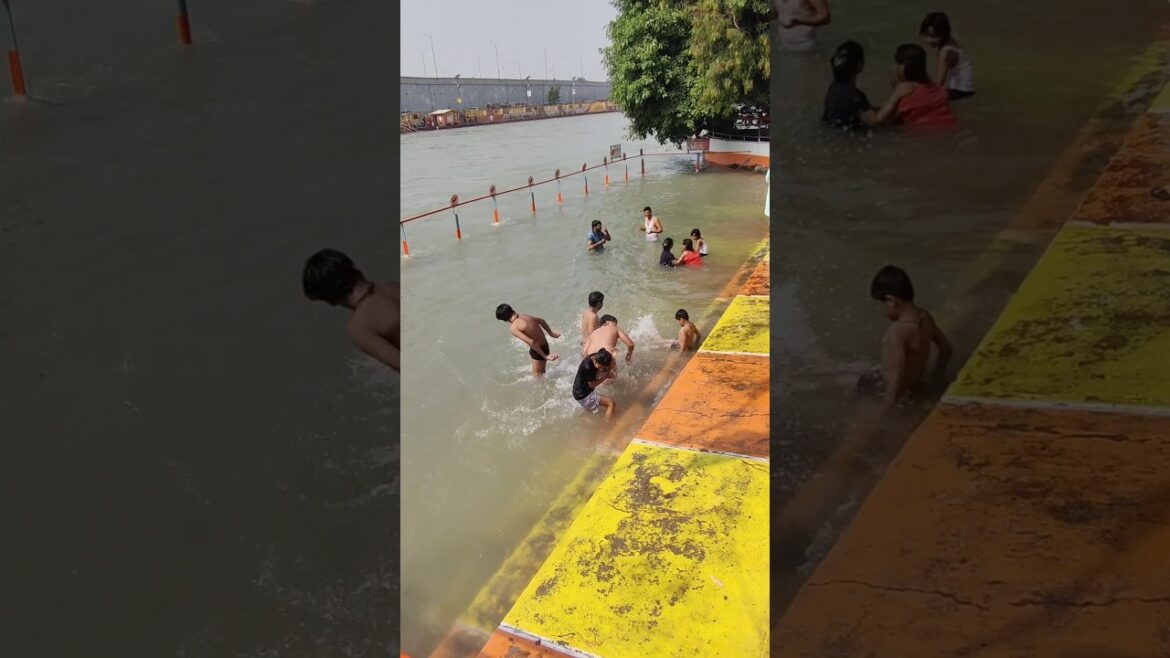 हरिद्वार का सबसे सेफ 😍 और सुंदर घाट कौन कौन यहां आया हा?🌹🤘 #haridwar #ganga