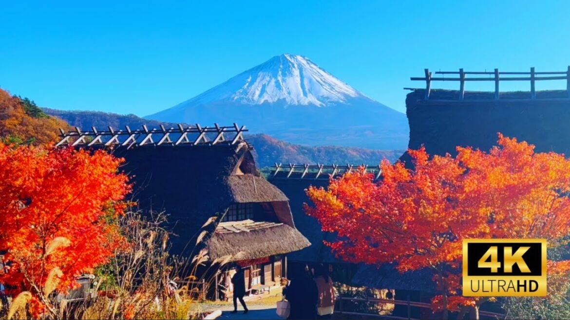 Hidden gems of Mt. Fuji guided by travel experts【JAPAN TRAVEL】