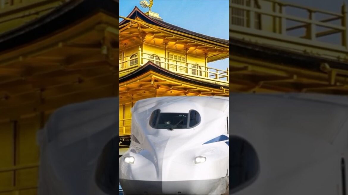Shinkansen day trip to Kyoto, Golden Pavilion  新幹線で金閣寺へ日帰り旅行 #shinkansen #kyoto #golden #experience