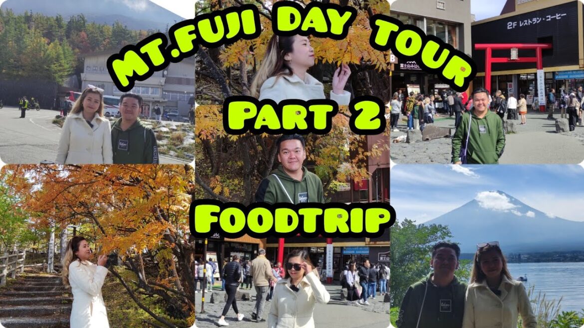 MT. FUJI DAY TOUR PART 2 #mtfuji  # MT.FUJI