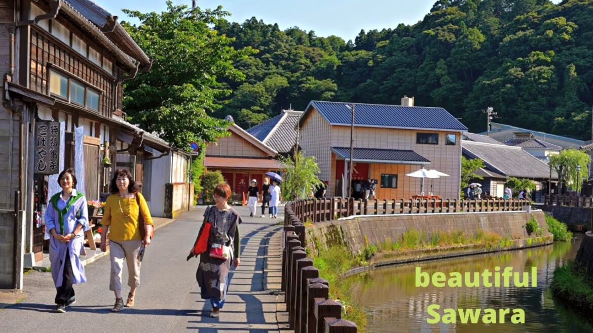 Immerse in Charismatic Japanese Countryside