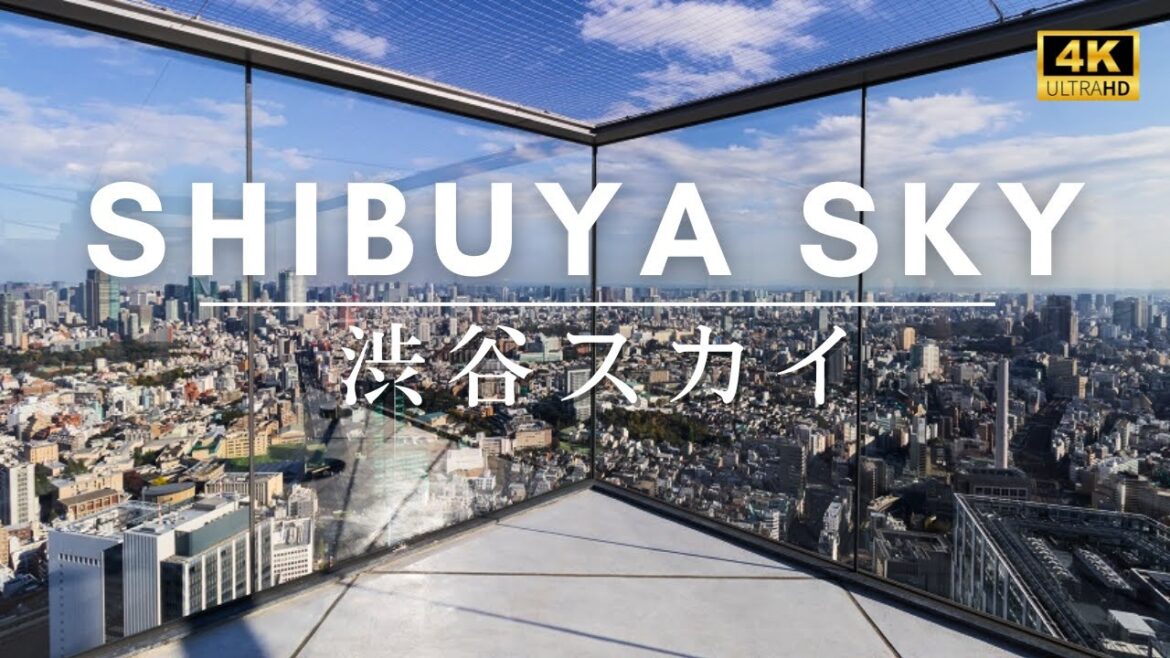 [4K] Shibuya Sky (渋谷スカイ) - Mt. Fuji Sunset View experience full walking tour | Relaxing Ambience