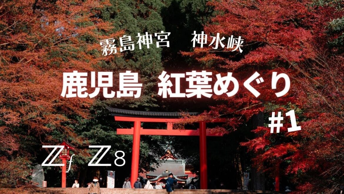 Z8 & Zf で 鹿児島 紅葉 めぐり 1 Kagoshima Japan Travel Driving   4K Z8 & Zf で 鹿児島 紅葉 めぐり 1 Kagoshima Japan Travel Driving   4K