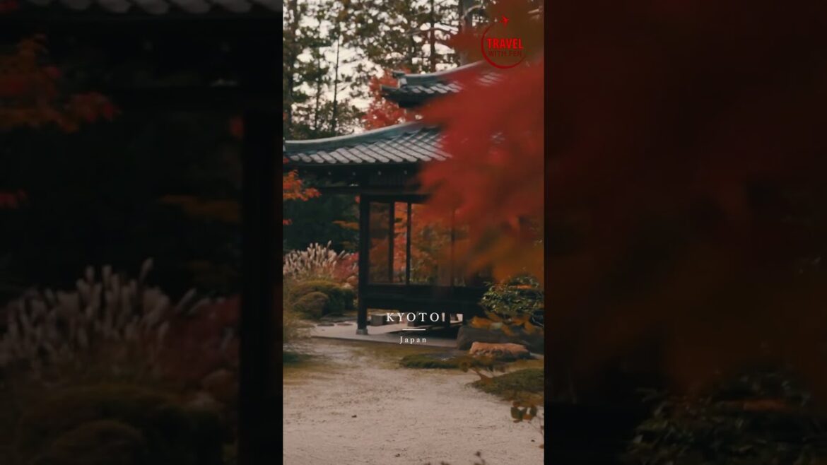 Amazing Tenju-an, 天授庵 Kyoto, 京都 | Japan Travel Destinations