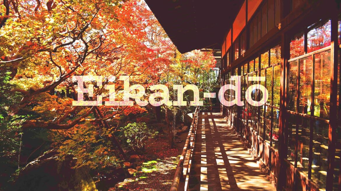 Autumn in Kyoto 2023 | Episode 5 – Eikan dō ( #Zenrinji )|#永観堂 (禅林寺) Autumn in Kyoto 2023 | Episode 5 - Eikan dō ( #Zenrinji )|#永観堂 (禅林寺)