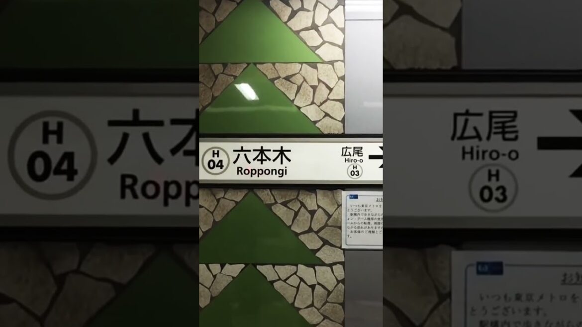 WINTER ILLUMINATIONS in TOKYO #tokyo #japan #japanese #illumination #winter WINTER ILLUMINATIONS in TOKYO #tokyo #japan #japanese #illumination #winter