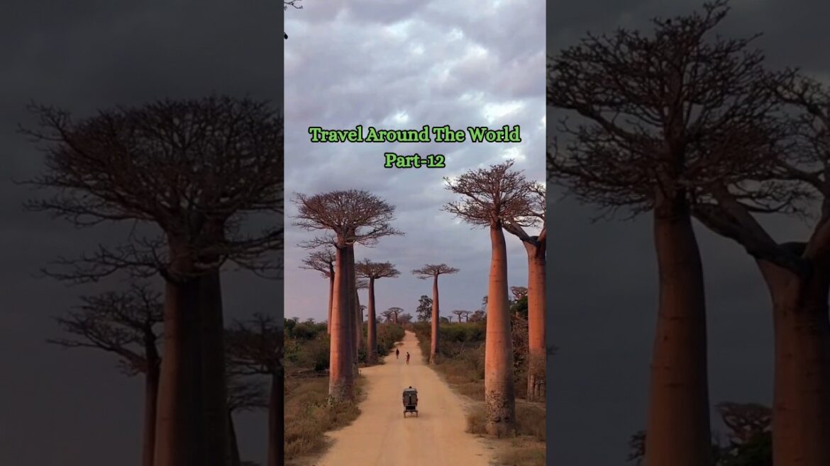 Travel Around The World Part-12 🌍🛫 #travel #shorts